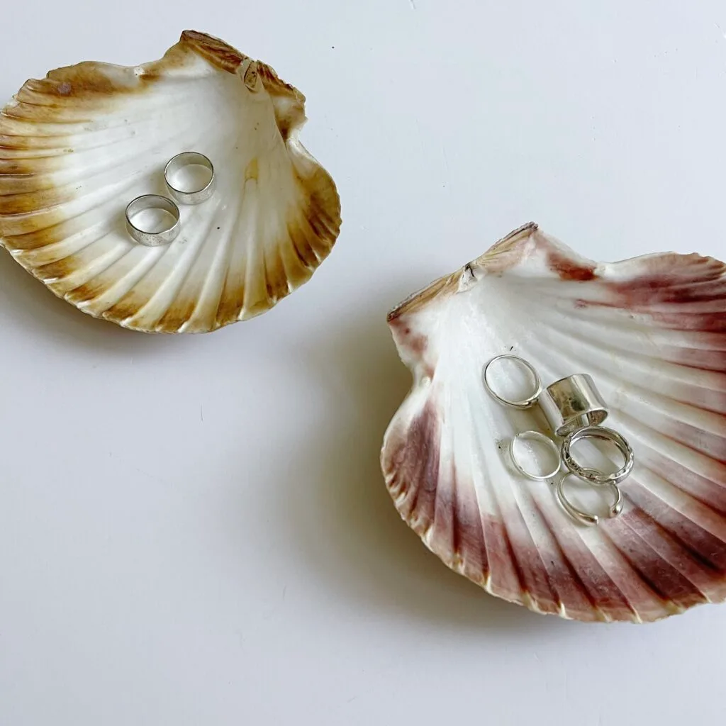 THE SHELL