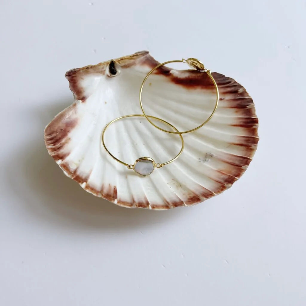 THE SHELL