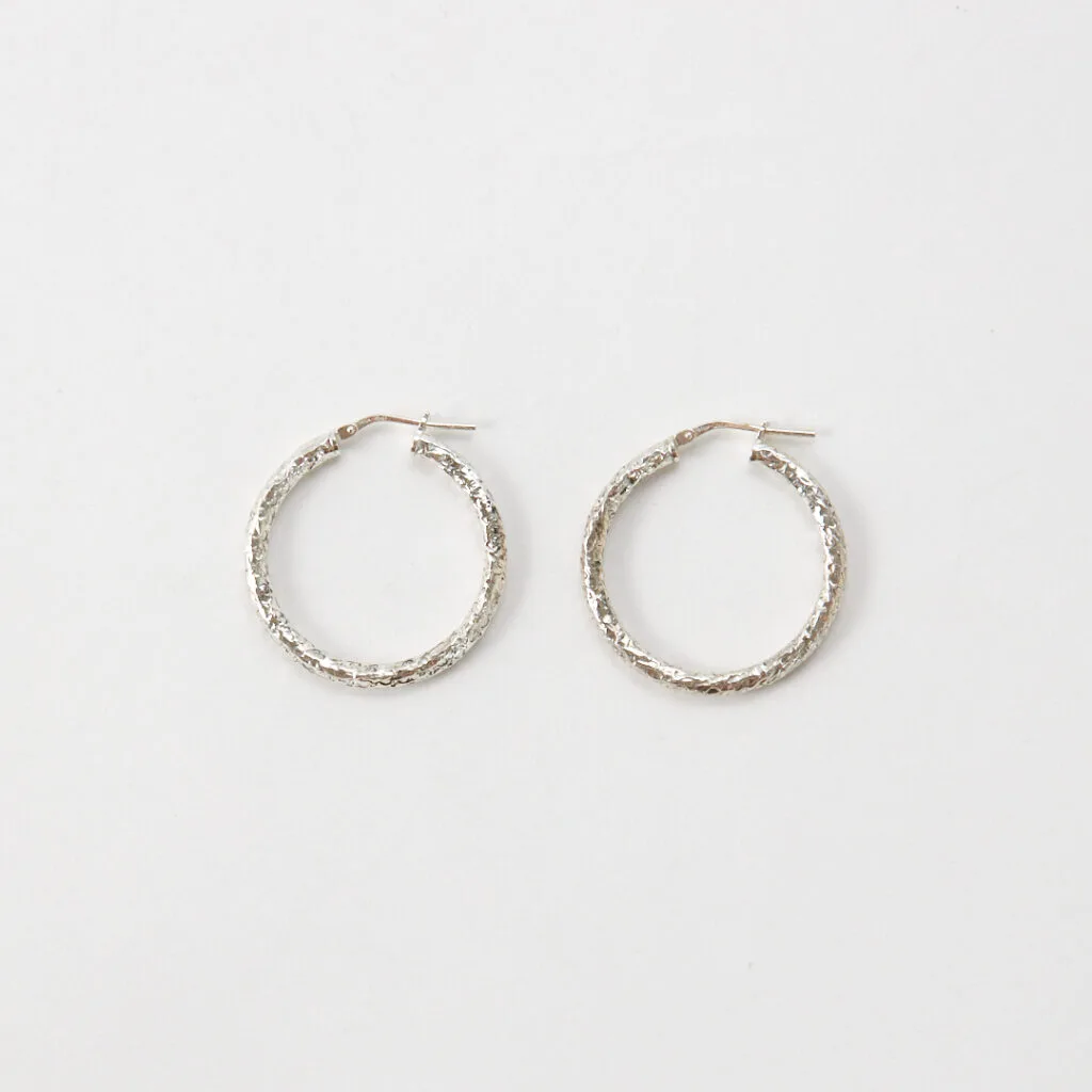 DARIA HOOPS