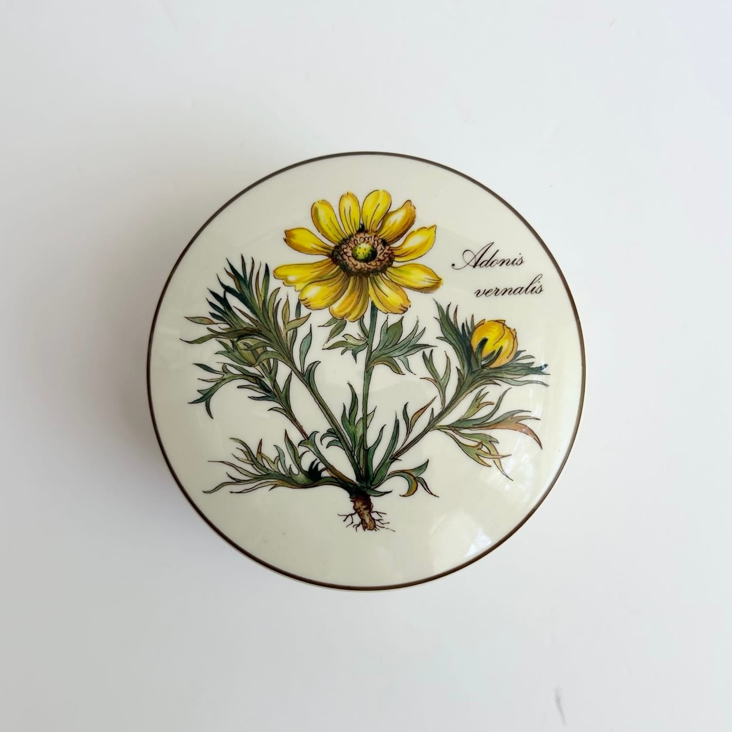 JEWELRY BOX NO° 12